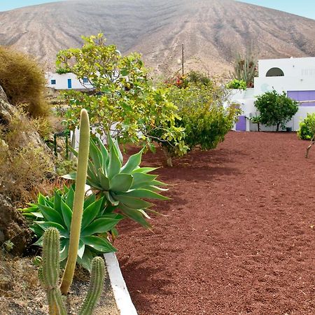 Villa Tranquila オルソラ エクステリア 写真