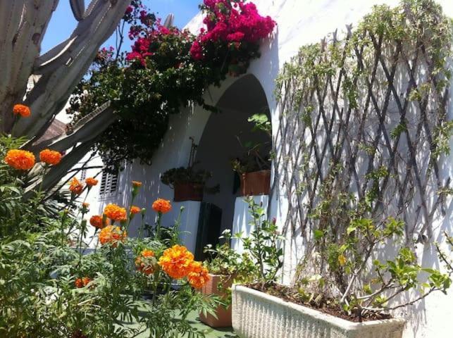 Villa Tranquila オルソラ エクステリア 写真